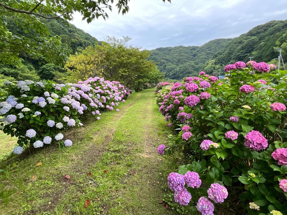 Villa Ｋａｏｒｕ　Ｉｎｎ Minamiizu Esterno foto