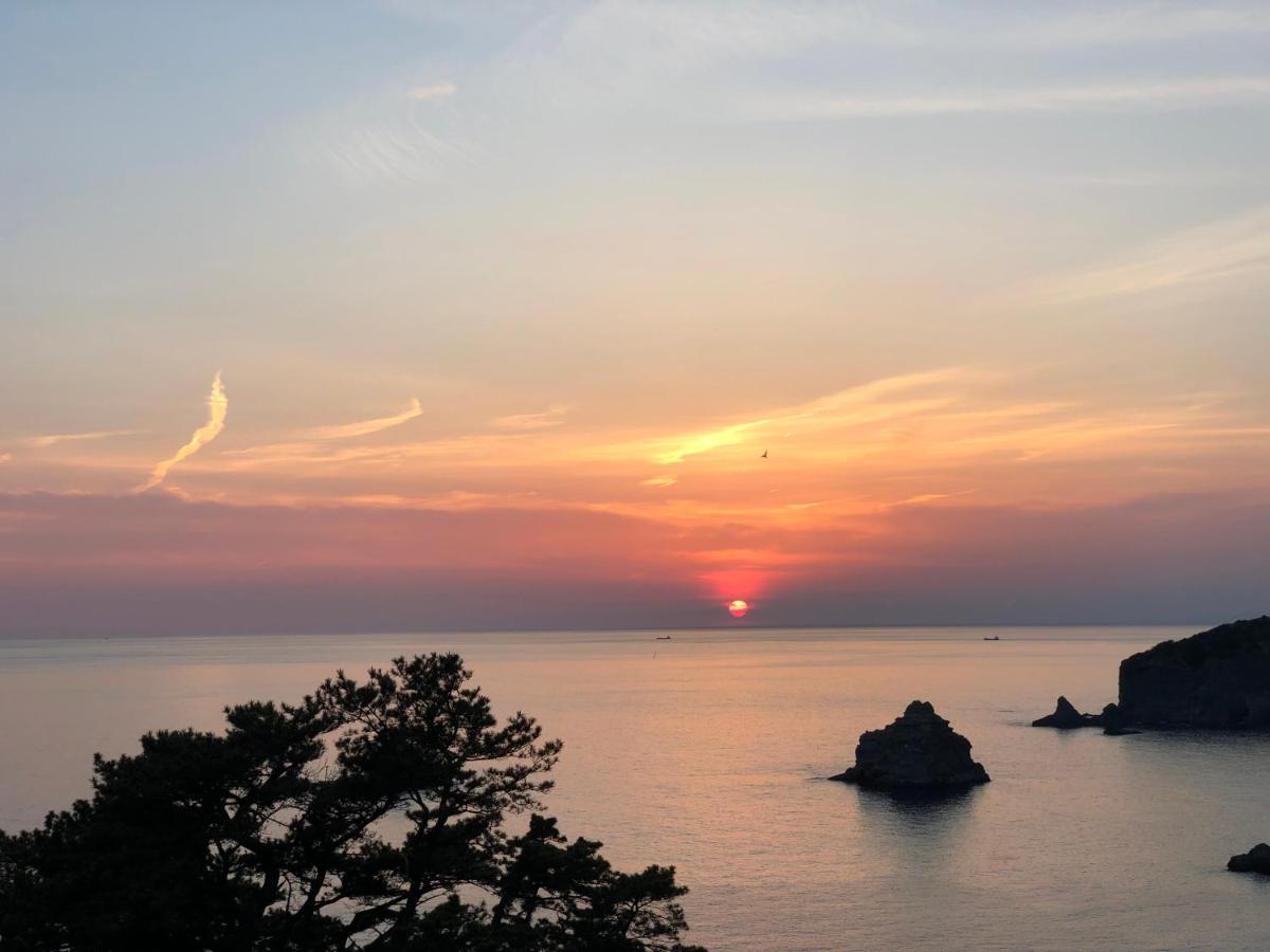 Villa Ｋａｏｒｕ　Ｉｎｎ Minamiizu Esterno foto
