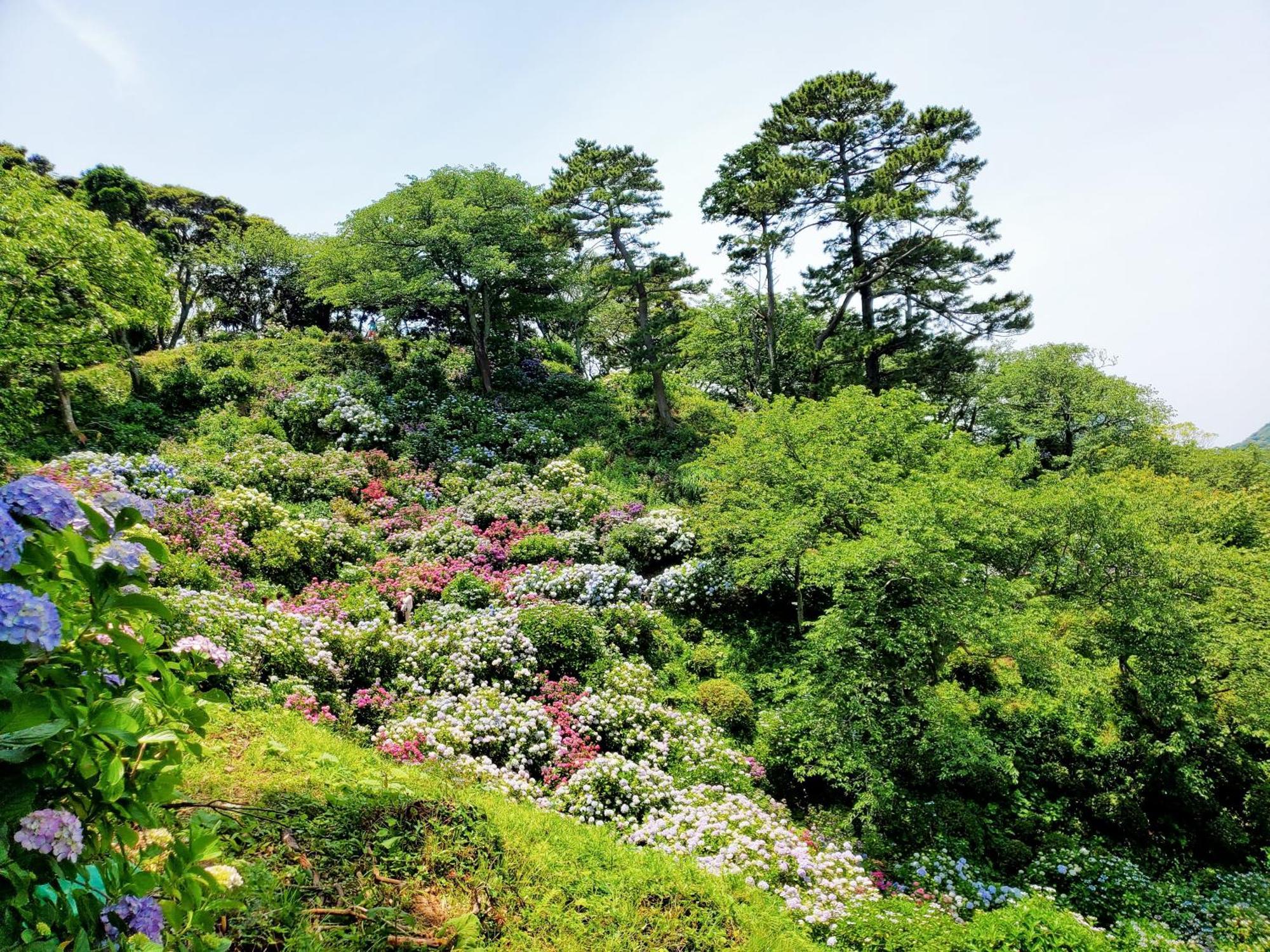 Villa Ｋａｏｒｕ　Ｉｎｎ Minamiizu Esterno foto