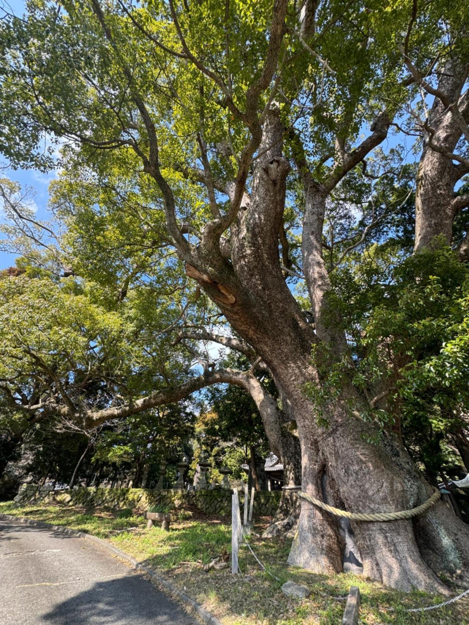 Villa Ｋａｏｒｕ　Ｉｎｎ Minamiizu Esterno foto