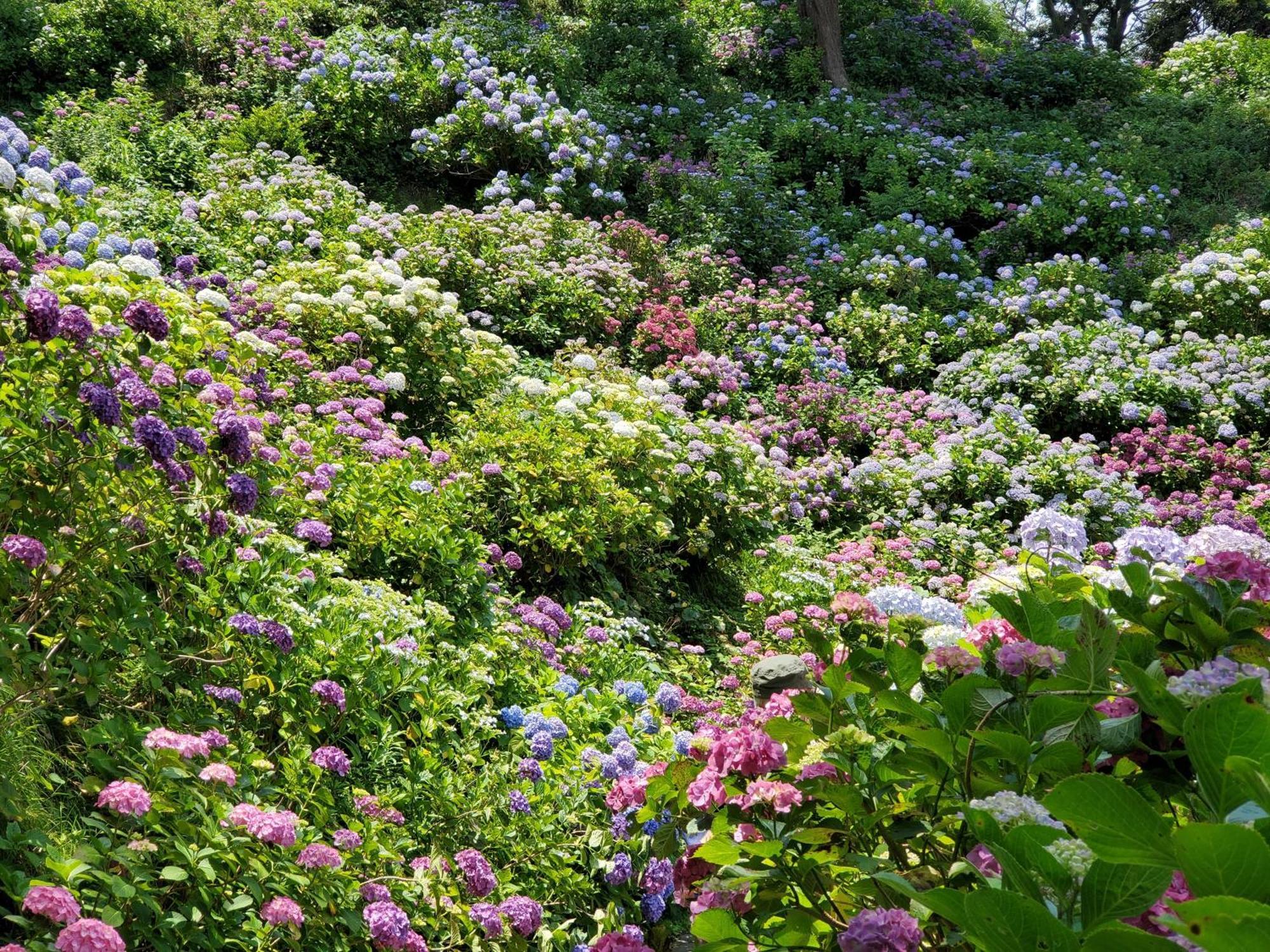 Villa Ｋａｏｒｕ　Ｉｎｎ Minamiizu Esterno foto